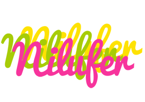 Nilufer sweets logo