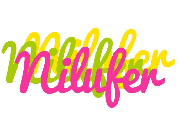Nilufer sweets logo