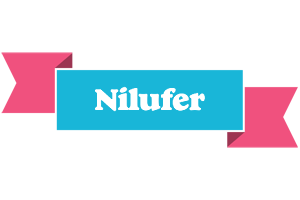 Nilufer today logo