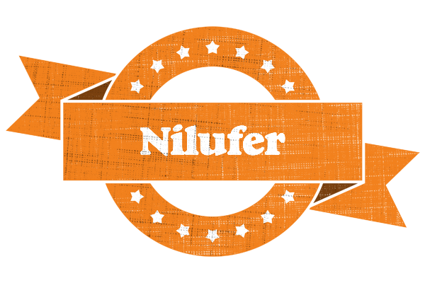 Nilufer victory logo