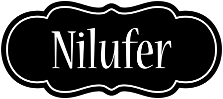 Nilufer welcome logo