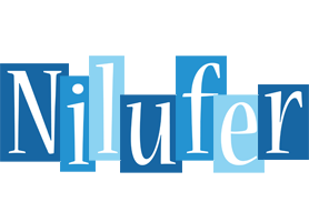 Nilufer winter logo