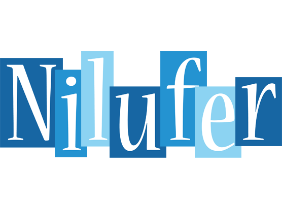 Nilufer winter logo