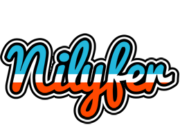 Nilyfer america logo