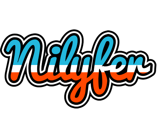 Nilyfer america logo