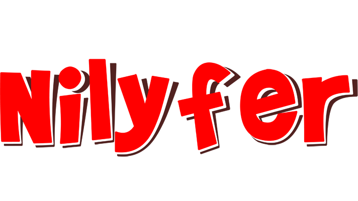 Nilyfer basket logo