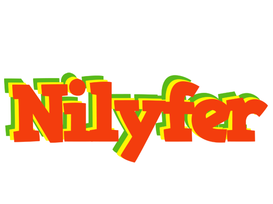 Nilyfer bbq logo