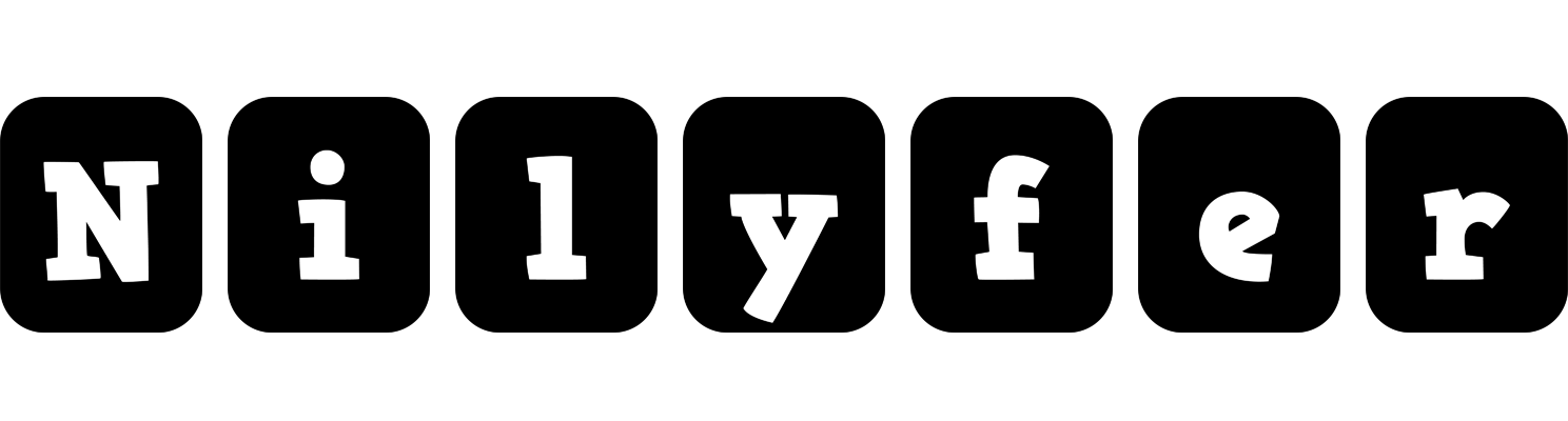 Nilyfer box logo
