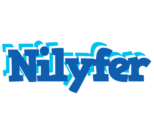 Nilyfer business logo