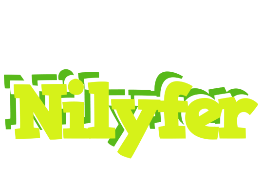 Nilyfer citrus logo
