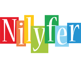 Nilyfer colors logo