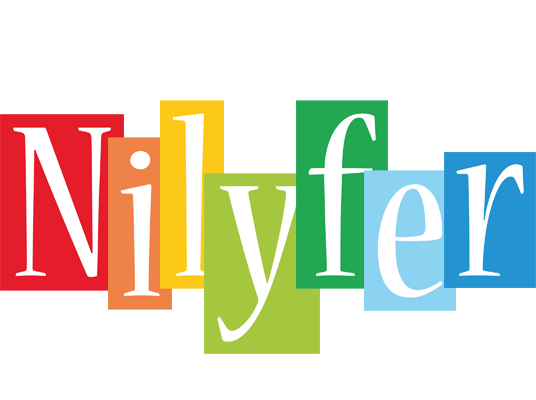 Nilyfer colors logo