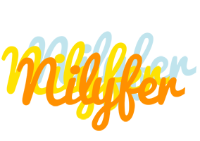 Nilyfer energy logo