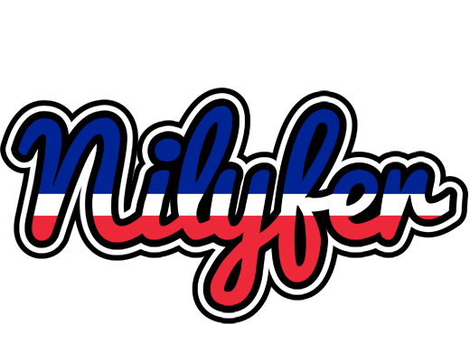 Nilyfer france logo