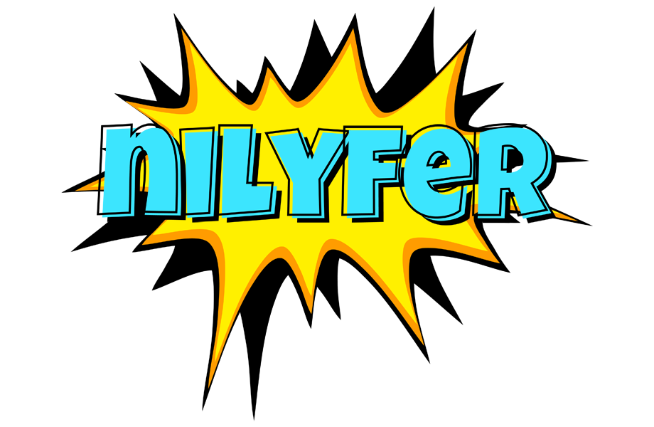 Nilyfer indycar logo