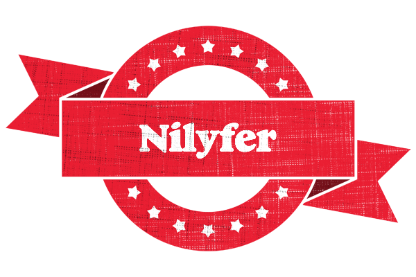 Nilyfer passion logo