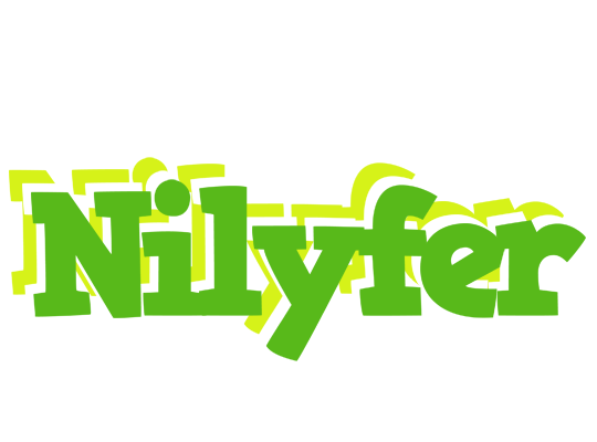 Nilyfer picnic logo