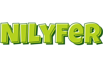 Nilyfer summer logo