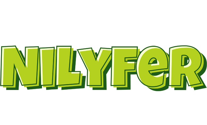 Nilyfer summer logo