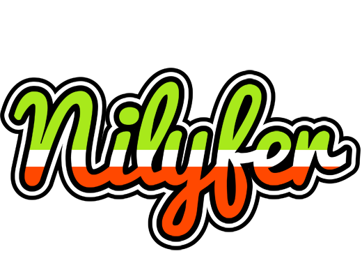 Nilyfer superfun logo