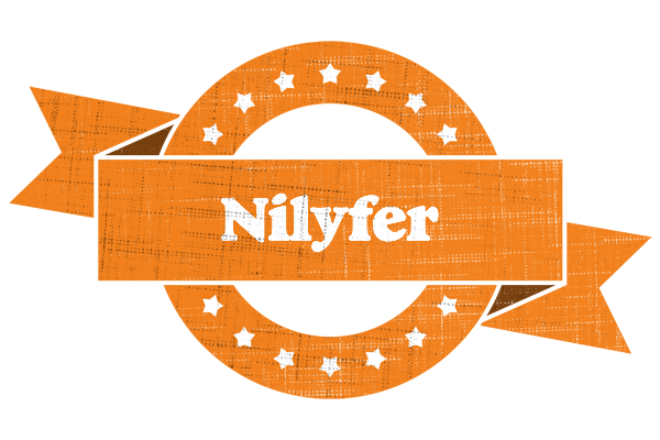 Nilyfer victory logo