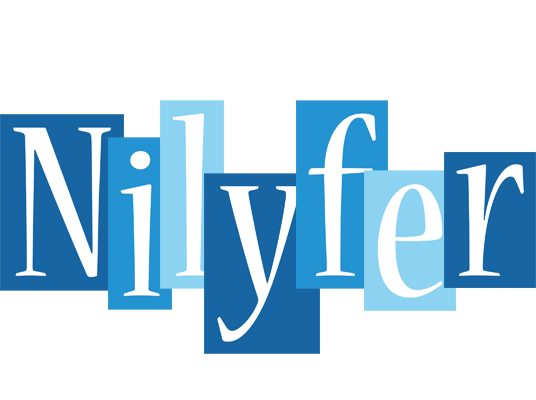 Nilyfer winter logo