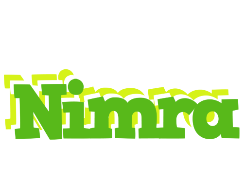Nimra picnic logo