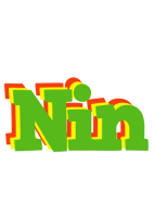 Nin crocodile logo