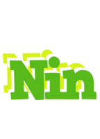 Nin picnic logo