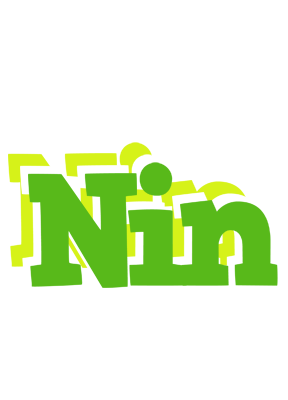Nin picnic logo