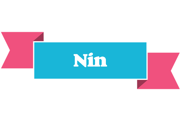 Nin today logo