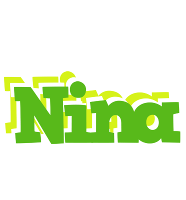 Nina picnic logo