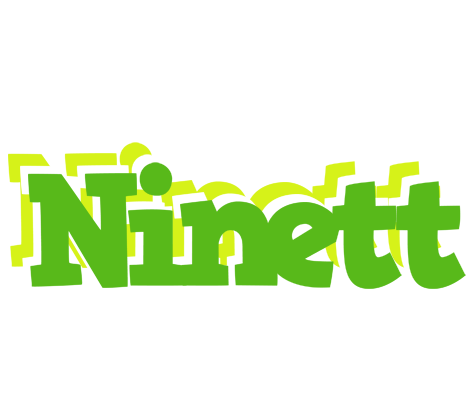 Ninett picnic logo