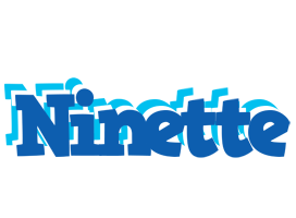 Ninette business logo