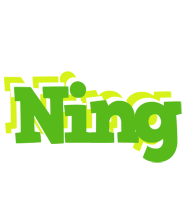 Ning picnic logo