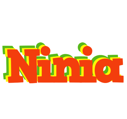 Ninia bbq logo