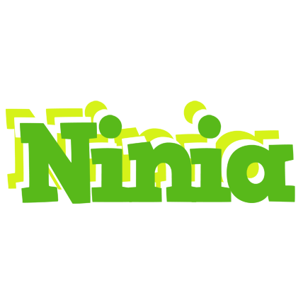 Ninia picnic logo