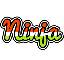 Ninja exotic logo