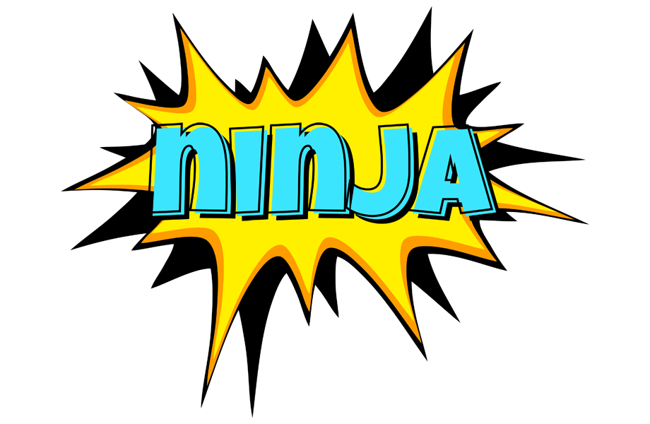 Ninja indycar logo