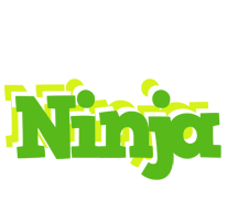 Ninja picnic logo