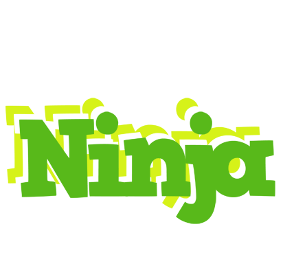Ninja picnic logo