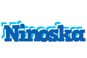 Ninoska business logo