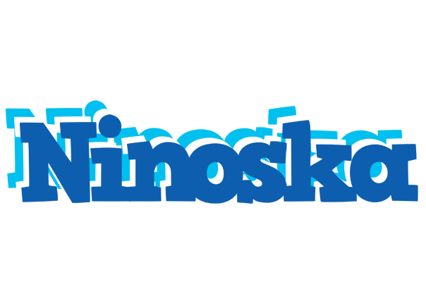 Ninoska business logo
