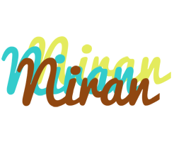 Niran cupcake logo