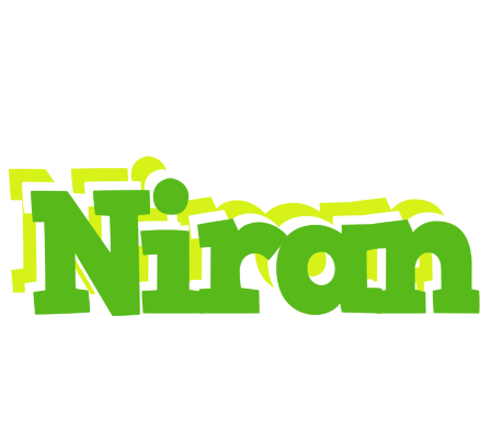Niran picnic logo