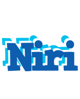 Niri business logo