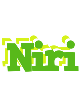 Niri picnic logo