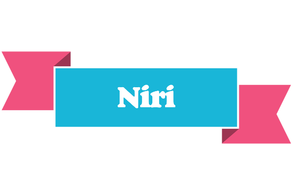 Niri today logo