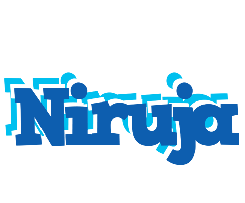 Niruja business logo