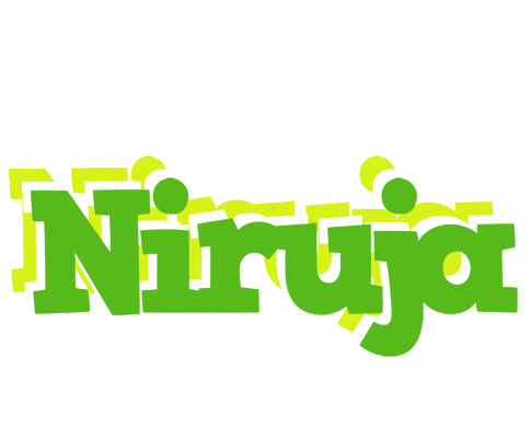 Niruja picnic logo